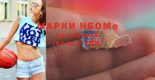 шишки Арсеньев