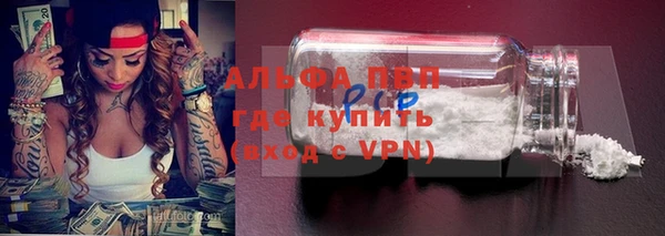 шишки Арсеньев