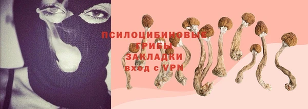 шишки Арсеньев