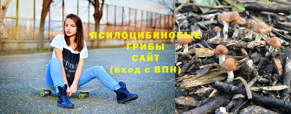 шишки Арсеньев