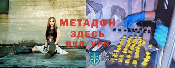 шишки Арсеньев