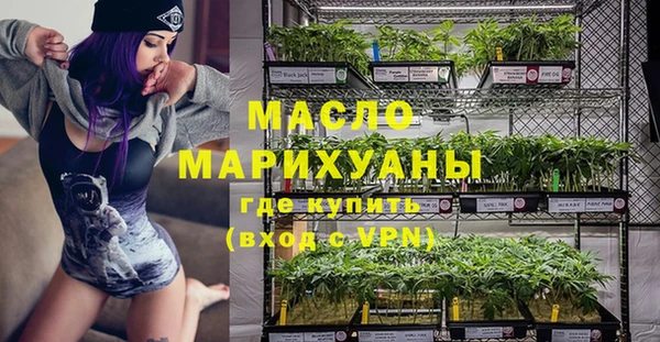 шишки Арсеньев