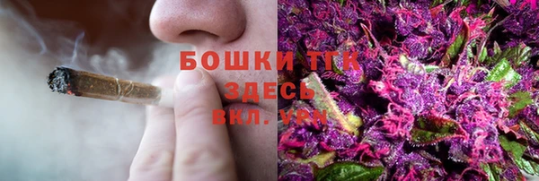 шишки Арсеньев